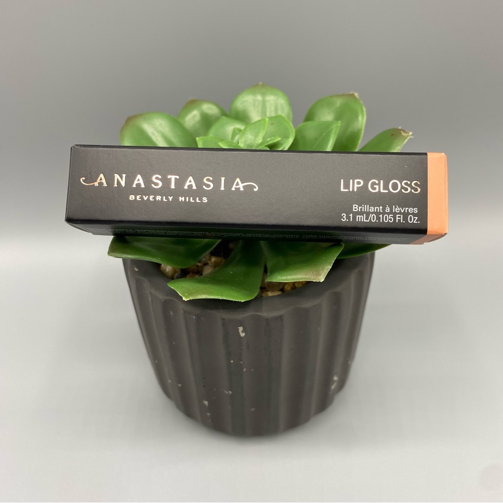 Anastasia Beverly Hills Lip Gloss